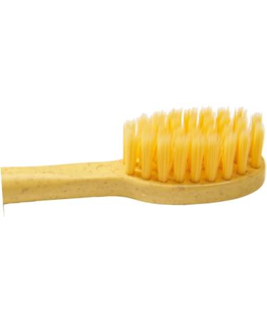Anneome 3pcs Eco-Friendly Lightweight Toothbrush Set - Comfortable & Sustainable Household Essential - Buy Online on GoSupps.com