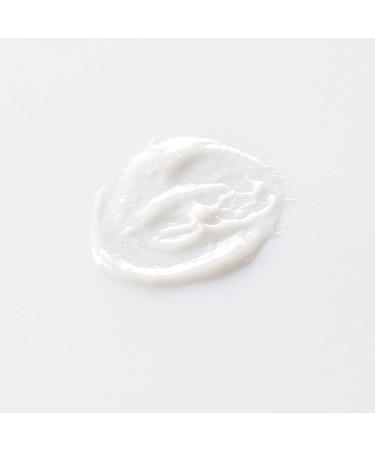 Benecos Natural Cosmetics Eyeshadow Base | Talc-Free & Vegan | Shop Internationally - Buy Online on GoSupps.com