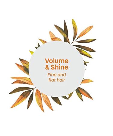 ATTITUDE Volume & Shine Conditioner - Hypoallergenic, Vegan, Cruelty-Free, Soy Protein & Cranberries, 8 Fl Oz - Buy Online on GoSupps.com
