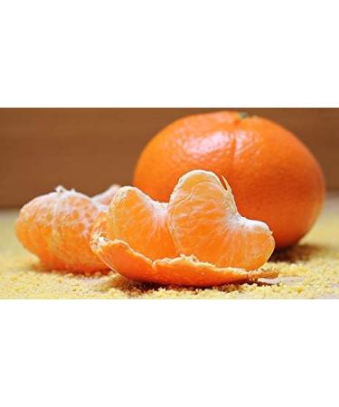 Sauna Infusion Concentrate Mandarin 250ml - PET Bottle with Dropper Cap & Child Safety Lock - Premium Aromatherapy - Buy Online on GoSupps.com