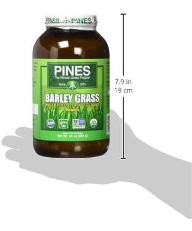 Pines Barley Grass Powder 24 oz | Organic Superfood Supplement - Buy Online on GoSupps.com
