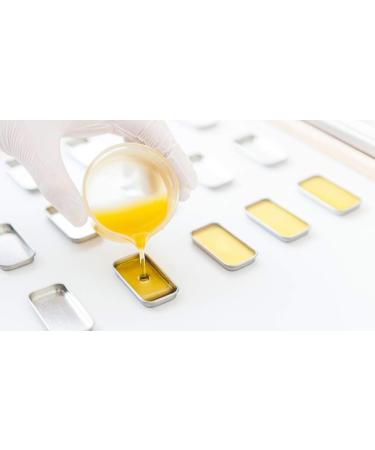 Lipple Lip Balm Classic - Dresden Edition 4G | Vegan Natural Lip Care Certified Cosmetics & Zero Waste - Buy Online on GoSupps.com