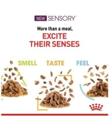 Royal Canin Sensory Feel in Gravy Wet Cat Food for Picky Cats 85g (Pack of 48) - Buy Online on GoSupps.com