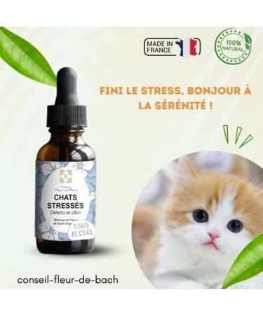 Bach Flower Advice - Bach Flowers Stressed Cat without Alcohol - A Blend That Will Help Your Cat Calm Down (30 ML) Pack of 2 - Buy Online on GoSupps.com