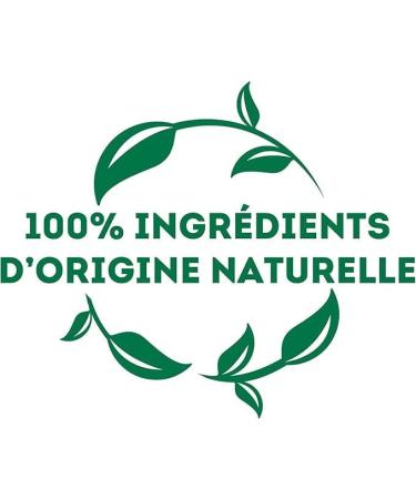 Lipton Th Vert Aromatis Infusion Froid ou Chaud Go t Myrtille & Mure Bien Etre Ingr dients d'Origine 100% Naturelle 240 Sachets Pyramid - Buy Online on GoSupps.com