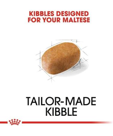 Royal Canin Maltese Adult Dog Food 0.5 kg - Buy Online on GoSupps.com