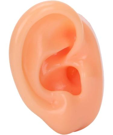 Jacksking Silicone Ear Model - Realistic Textured Medical Teaching Aid for Office Use - Buy Online on GoSupps.com