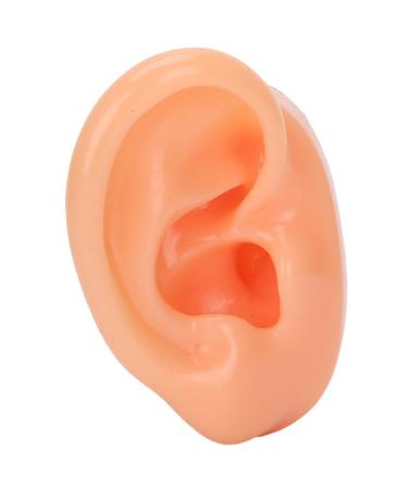 Silicone Right Ear Model Simulation Artificial Ear Display Model for Hearing Aids Flexible Soft Silicone Imitation Real Ear Suitable for Shop Window Display - Buy Online on GoSupps.com