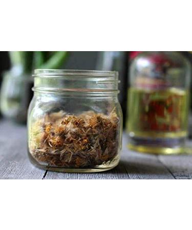 ARNICA Flower Tincture 1:2 - Highest Concentration Skin Healer 4 oz | Shop Internationally - Buy Online on GoSupps.com
