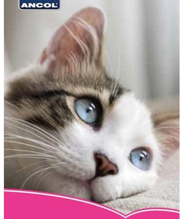 Anco Paw and Fishbone Printing Cat Place Mat in Pink - Durable and Stylish - Buy Online on GoSupps.com