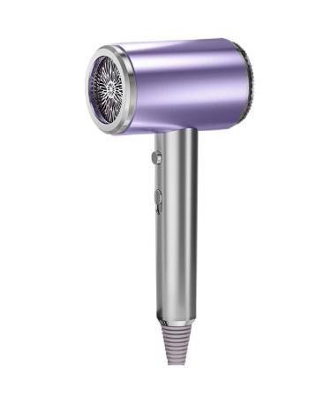 HJWNSD Double Negative ion Electric Hair Dryer High-end Hair dryers High-end Home Hotel Barbershop Student Dedicated Hair Dryer (Purple)