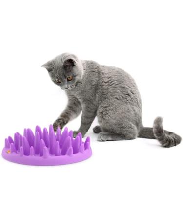 The Company of Animals CATCH Interactive Feeder - Purple | Buy Online - Buy Online on GoSupps.com