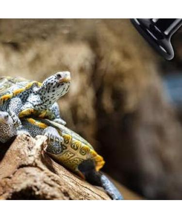 25W 2-Pack Ceramic Heat Lamp Bulb Infrared Reptile Heat Emitter Heater Lamps Bulbs for Pet Brooder Coop Chicken Lizard Bearded Dragon Turtle Snake Aquarium - No Light Emitted No Harm (25W-2PACK) - Buy Online on GoSupps.com