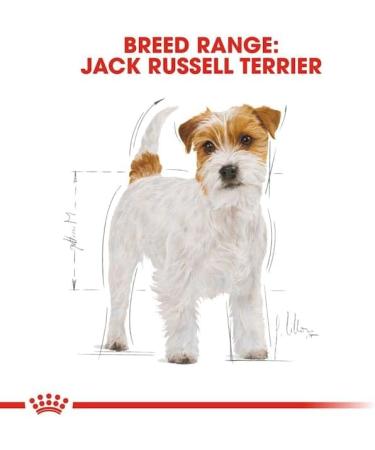 Royal Canin Dog Food Jack Russell Complete 3Kg Poultry 3 kg (Pack of 1) - Buy Online on GoSupps.com