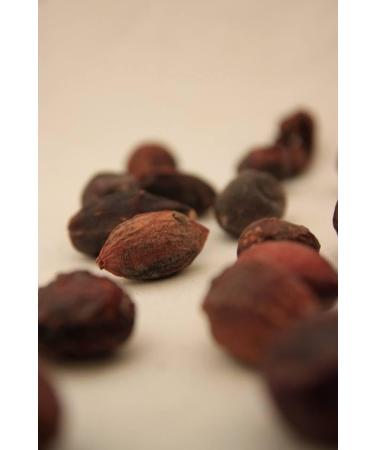  Arganiae Pure Argan Oil 250 ml - Buy Online on GoSupps.com