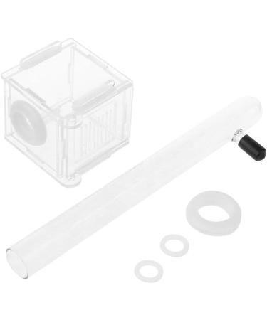 Junlinto Ant Nest Glass Tube Mini Ant Nest with Active Zone Insect House Acrylic Ant Farm - Buy Online on GoSupps.com