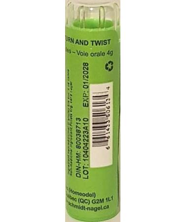 Anacardium 30CH Homeopathy Medicine Schmidt-Nagel Canada (Homeodel) 90 pellets/granules - Buy Online on GoSupps.com