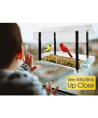 FGXY Window Bird Feeder, Birds House Balcony for Outdoor with Strong Suction Cups Drinking Water Sink Bird Watching Clear Bird Feeder for Window for Wild Bird Small Bird - Buy Online on GoSupps.com