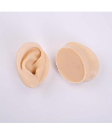 Silicone Ear Model for Acupuncture - Soft Silicone Ear Model for Teaching - 1 Pair Artificial Ear Model for Ear Picking Practice Studs Earring Display Props - Buy Online on GoSupps.com