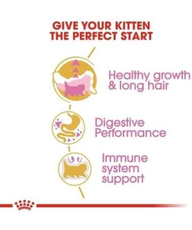 Royal Canin Persian Kitten 32 Dry Mix 400 g (Pack of 4) - Buy Online on GoSupps.com