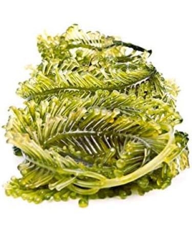 Dead Sea Bath Lotion with Algae - Mineral-Rich Skin Care 1000ml | BINGOSPA - International Shipping Available - Buy Online on GoSupps.com