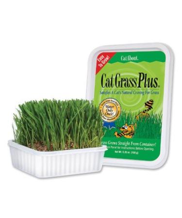 CAT GRASS PLUS TUB