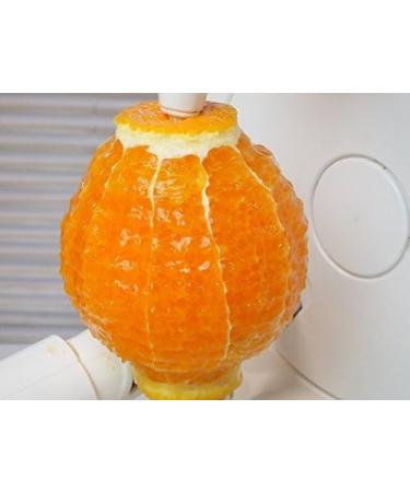 Buy Choi Facing Smart CP61WJ - International Shipping Available | Best Price & Quality - Buy Online on GoSupps.com