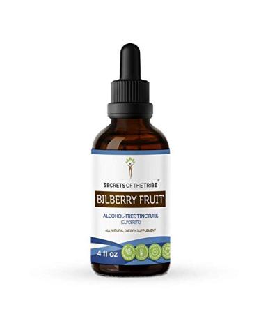 Bilberry Fruit Alcohol-Free Liquid Extract, Bilberry (Vaccinium Myrtillus) Dried Fruit Tincture Supplement (4 FL OZ) 4 Fl Oz (Pack of 1)