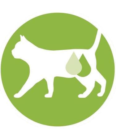 PURINA ONE DualNature Natural Defense Salmon Dry Cat Food for Sterilized Adult Cats | 1.4kg Bag - Buy Online on GoSupps.com