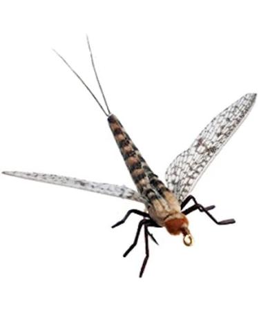 Synthfly Lifelike Mayfly Pack - Gray & Brown Drake in Sizes 10 12 14, Danica in Sizes 10 12 - Fly Fishing Essential Set of 8 Mayflies - Buy Online on GoSupps.com