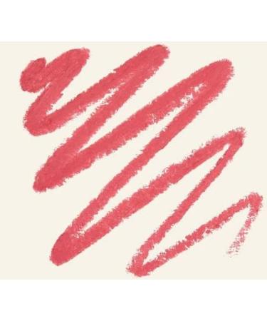  The Body Shop The Body Shop - Lip Pencil Shade Blusing Pink (Emoi Pink) - 1 g - Buy Online on GoSupps.com