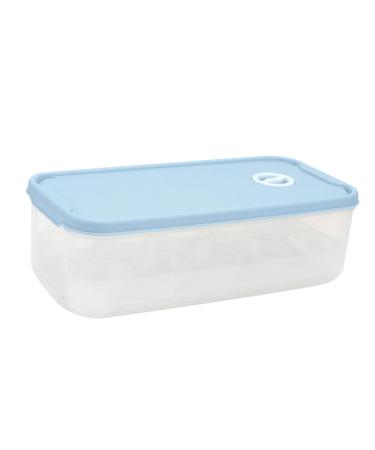 CAXUSD 1pc Box Egg Storage Box Storage Bins Eggs Egg Holder Egg Storage Holder Protective Box re-usable Blue 24x11.5cm