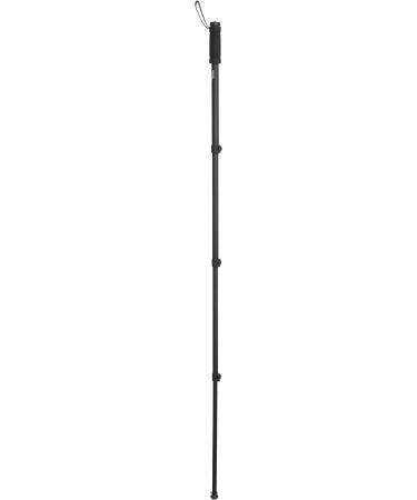 Amazon Basics 67-Inch Monopod - Lightweight Monopod 1-Pack - Buy Online on GoSupps.com