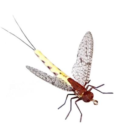 Synthfly Lifelike Mayfly Pack - Gray & Brown Drake in Sizes 10 12 14, Danica in Sizes 10 12 - Fly Fishing Essential Set of 8 Mayflies - Buy Online on GoSupps.com