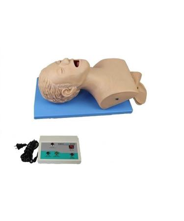 Manikin Teaching Model for Airway Management | Electronic Intubation Trainer | Ideal for Science Lab Education - Buy Online on GoSupps.com