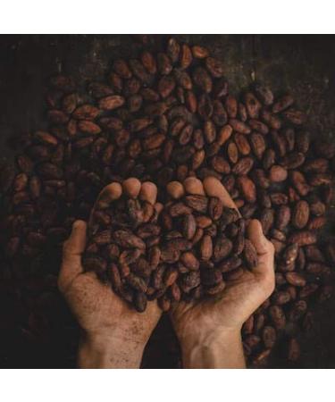 Kamelur ORGANIC Cacao Nibs - Raw Criollo Cocoa Beans (1kg) | Pure & Additive-Free Cocoa Nibs for Superfood Benefits - Buy Online on GoSupps.com