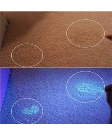 LED UV Flashlight - 395nm Black Light Pet Urine & Stain Detector for Clothes Carpets & Rugs - 1 Pack - Buy Online on GoSupps.com