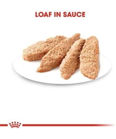 Royal Canin Kitten in Loaf Wet Food 85g (Pack of 48) - Buy Online on GoSupps.com