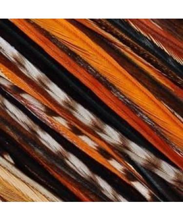 5 Rainbow Remix 6"-12" Feathers Bonded Together At the Tip for Hair Extension Includes 2 Silicon Micro Beads.