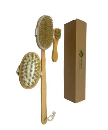 Bambusa Bamboo Dry Brush Set