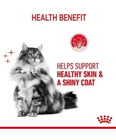 Royal Canin Hair & Skin Care Wet Cat Food in Gravy 48 x 85g - Buy Online on GoSupps.com