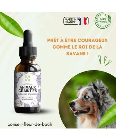 Bach Flowers Fearful Animals - This mixture of Bach flowers will allow your pet to manage their fears and anxieties with more cold blood. 30 ml Pack of 2 - Buy Online on GoSupps.com