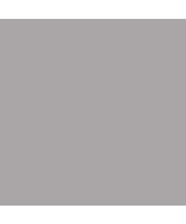 Rust-Oleum 7716830 High Heat Enamel Spray Paint  12 oz  Silver Silver 12 Ounce Spray Paint - Buy Online on GoSupps.com