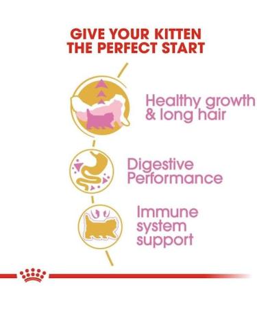 Royal Canin Persian Kitten Cat Food 2kg 2 kg (Pack of 1) - Buy Online on GoSupps.com