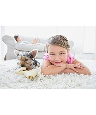 Capture Carpet & Rug Dry Cleaner - Pet Safe Odor Eliminator & Stain Remover - 4lb Resealable Lid Pack - Buy Online on GoSupps.com