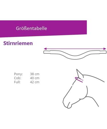 ARBO-INOX Rhinestone Pony Browband - Premium Saddle Decoration for International Shipping - Buy Online on GoSupps.com