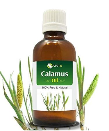 Calamus Oil (Acorus Calamus) Therapeutic Essential Oil by Salvia Amber Bottle 100% Natural Uncut Undiluted Pure Cold Pressed Aromatherapy Premium Oil - 100ML/ 3.38fl oz