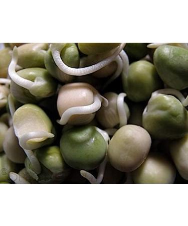  Shopper's Freedom Whole organic dried beans and legumes sprouting vegetable protein (green peas/watana) 250g - Buy Online on GoSupps.com