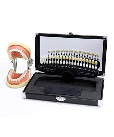 Professional Dental Teeth Whitening Shade Guide | 3D R-20 Color Chart for Dentists | International Shipping Available - Buy Online on GoSupps.com