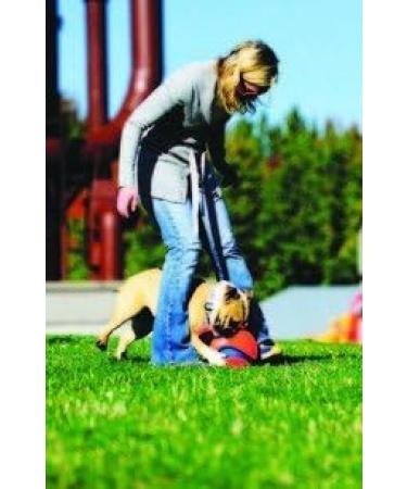 Buy ChuckIt Kick Fetch Floating Dog Toy Ball 19 cm - Large | Netproshop International Shipping - Buy Online on GoSupps.com